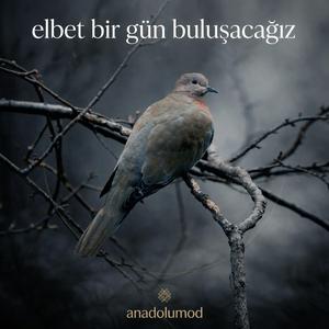 Elbet Bir Gün Buluşacağız // anadolumod