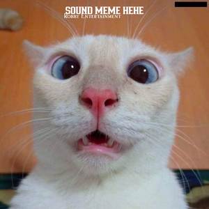 SOUND MEME HEHE