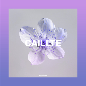 CAILLTE
