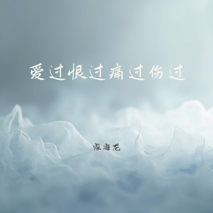 爱过恨过痛过伤过