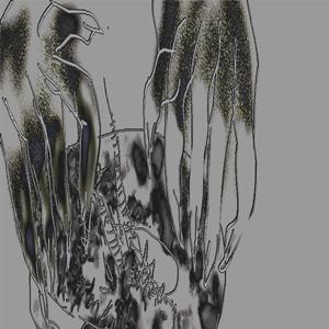 the aegis has collapsed