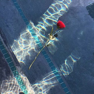 DJLayDiMusic(抖音热搜版)