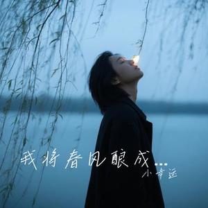 我将春风酿成酒  (Remix)