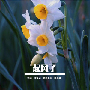 起风了（言和、洛天依）（翻自 买辣椒也用劵）