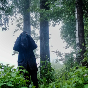 цветы утренней зари