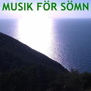 Musik För Sömn