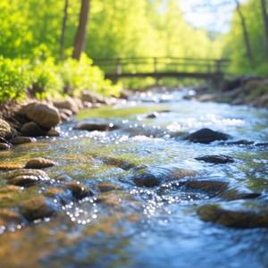 Brook Stones Whispers