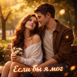 Если бы я мог