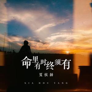 命里有时终须有 (DJ版)