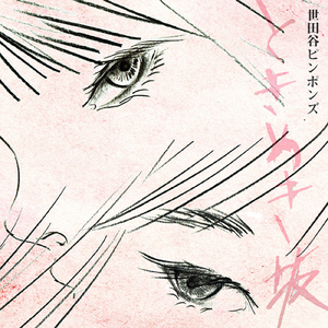 紅い花 (新録音)