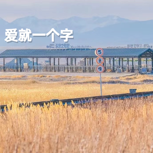 我的名字（女声版）