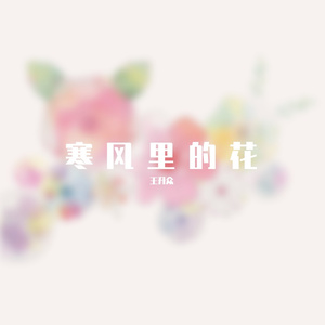 寒风里的花 伴奏