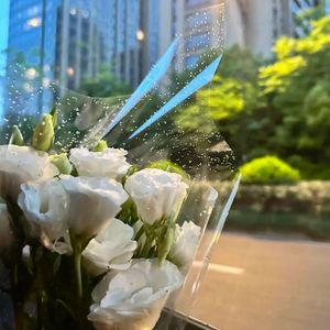 某日我也会走入昏茫夜色