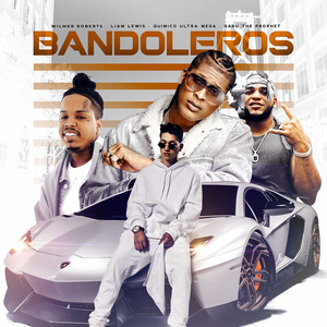 Bandoleros