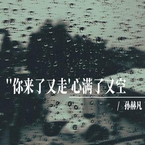 你来了又走心满了又空（磁带版）