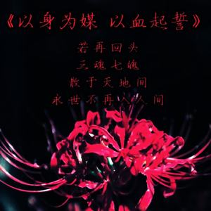 以身为媒 以血起誓