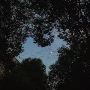 多情种1637861088596_012500_track0_012500