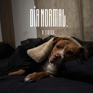Día Normal