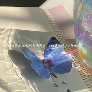 我偏偏在错的时间遇见你 (烟嗓哥哥)