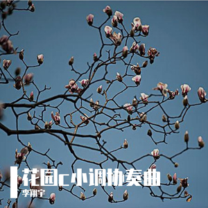花园c小调协奏曲