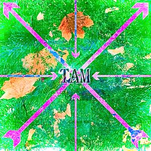 Tam (Instrumental)