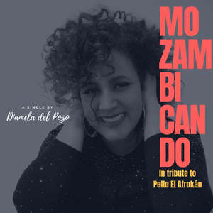 Mozambicando