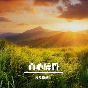 心碎如石