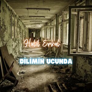 Dilimin Ucunda