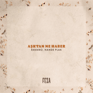 Aşktan Ne Haber (Radio Mix)