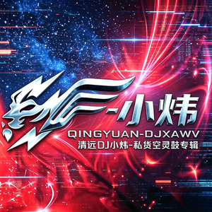 DJ小炜-小炜【十几岁正是爱听DJ的年纪 大飞 雨夜钢琴】（DJ小炜 remix）