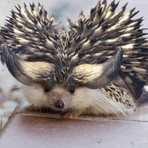 我超，原 - 紡ぎの唄 (Piano Ver.) - MHWI冰原主题曲钢琴版改编