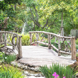 Enchanted Garden in Sunflower's Turn