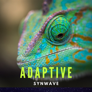 Adaptive