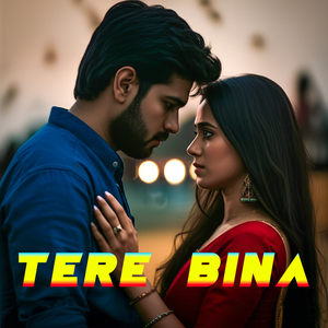 Tere Bina