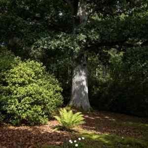 原始部落篝火晚会