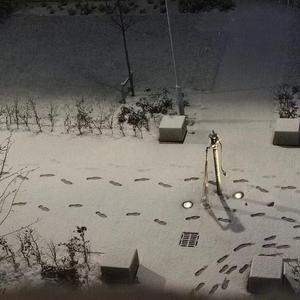 过了一天