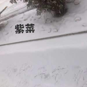 紫菜（Prod EVOMUSIC）