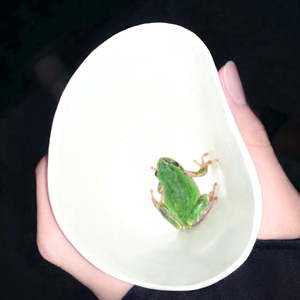 나의 여름을 돌려줘