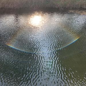 As Rain Kisses The Sunbeam