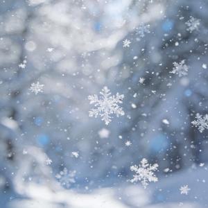 大风在刮大雪在下 合唱团