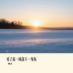 爱了你一场落下一身伤 (雪花陪我到天亮)