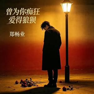 曾为你痴狂爱得狼狈 (DJ版)