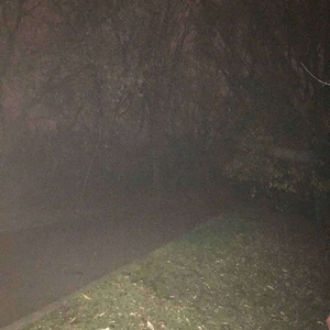 Голем (Конец)