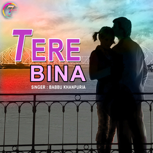 Tere Bina