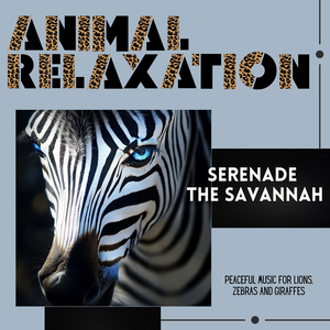 417 Hz Signal: Quiet Hoofbeats