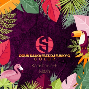 Color (KalashnikoFF Mash)