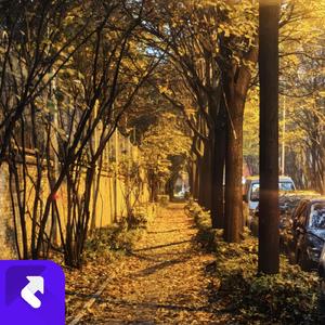 迟来的告慰.WAV