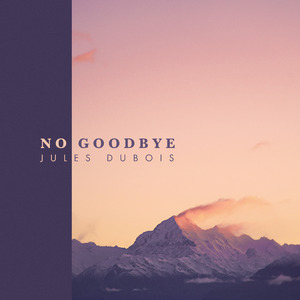 No Goodbye