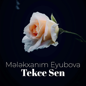 Tekce Sen