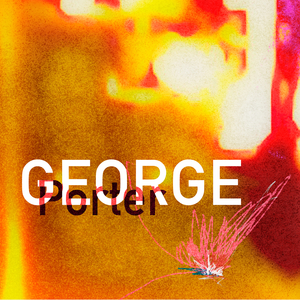 Porter (10,000 men named George)